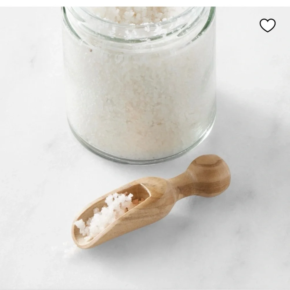 Williams Sonoma Jean dubost Olive Wood salt spice Scoop